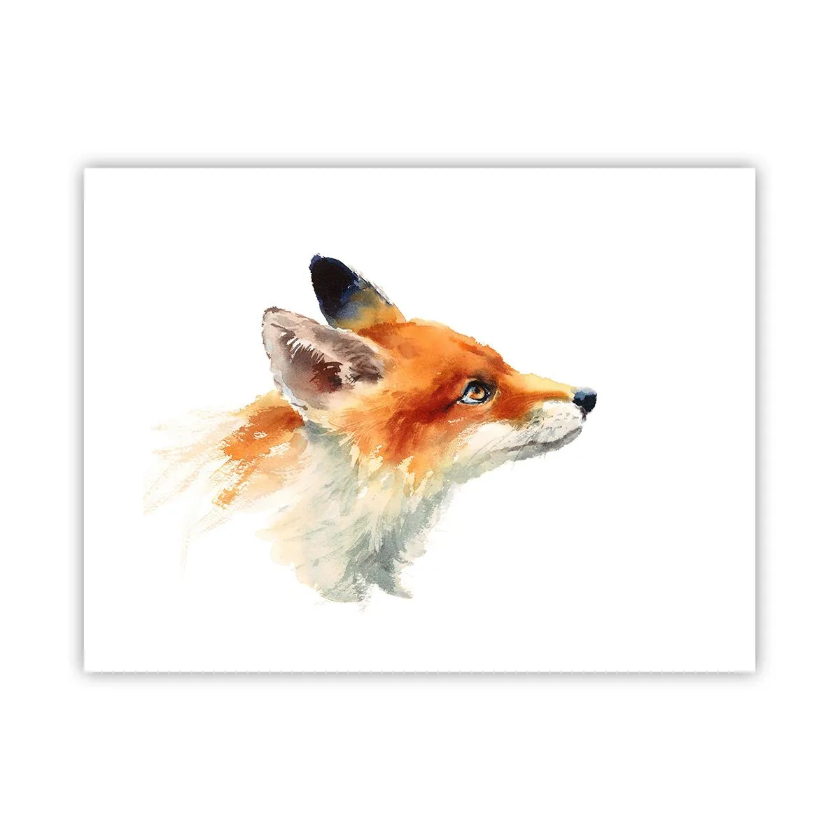 Plakát - Opatrnosti není nikdy dost - 40x30 cm