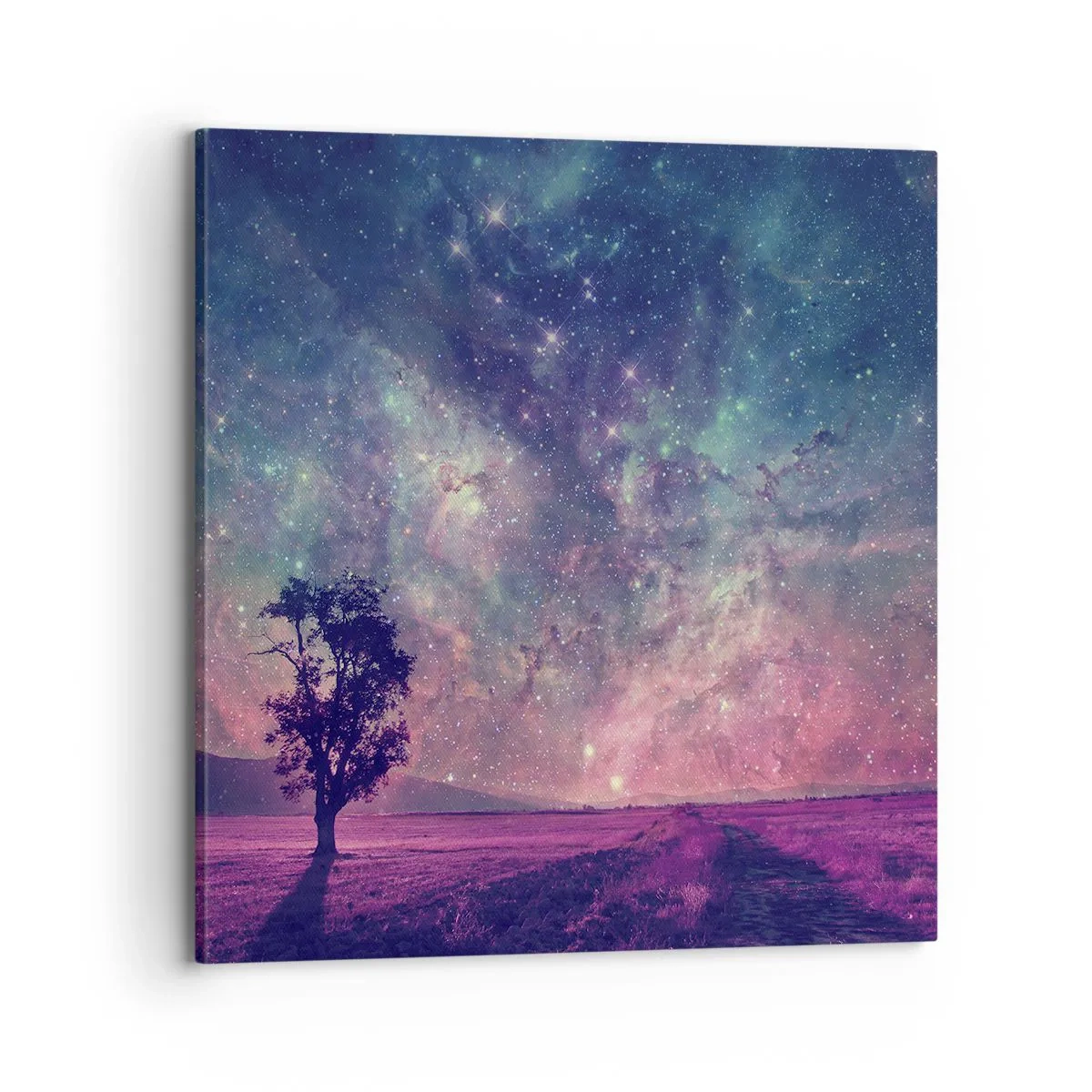 Obraz na plátně - Pod magickou oblohou - 70x70 cm