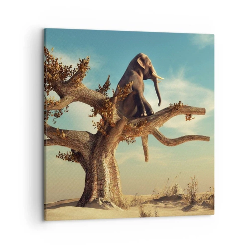 Obraz na plátně - Nový úhel pohledu - 50x50 cm