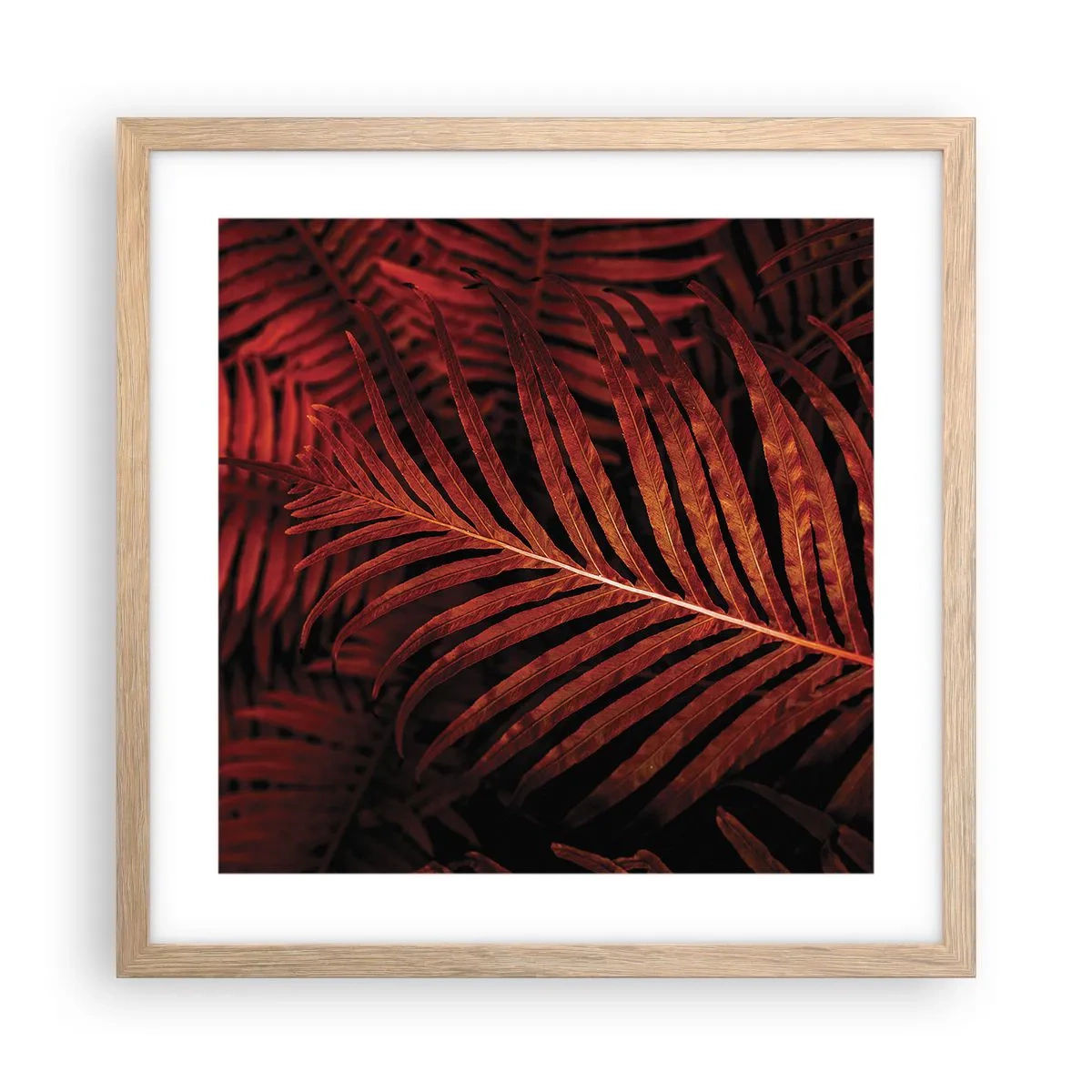 Plakát v rámu světlý dub - Žár života - 40x40 cm