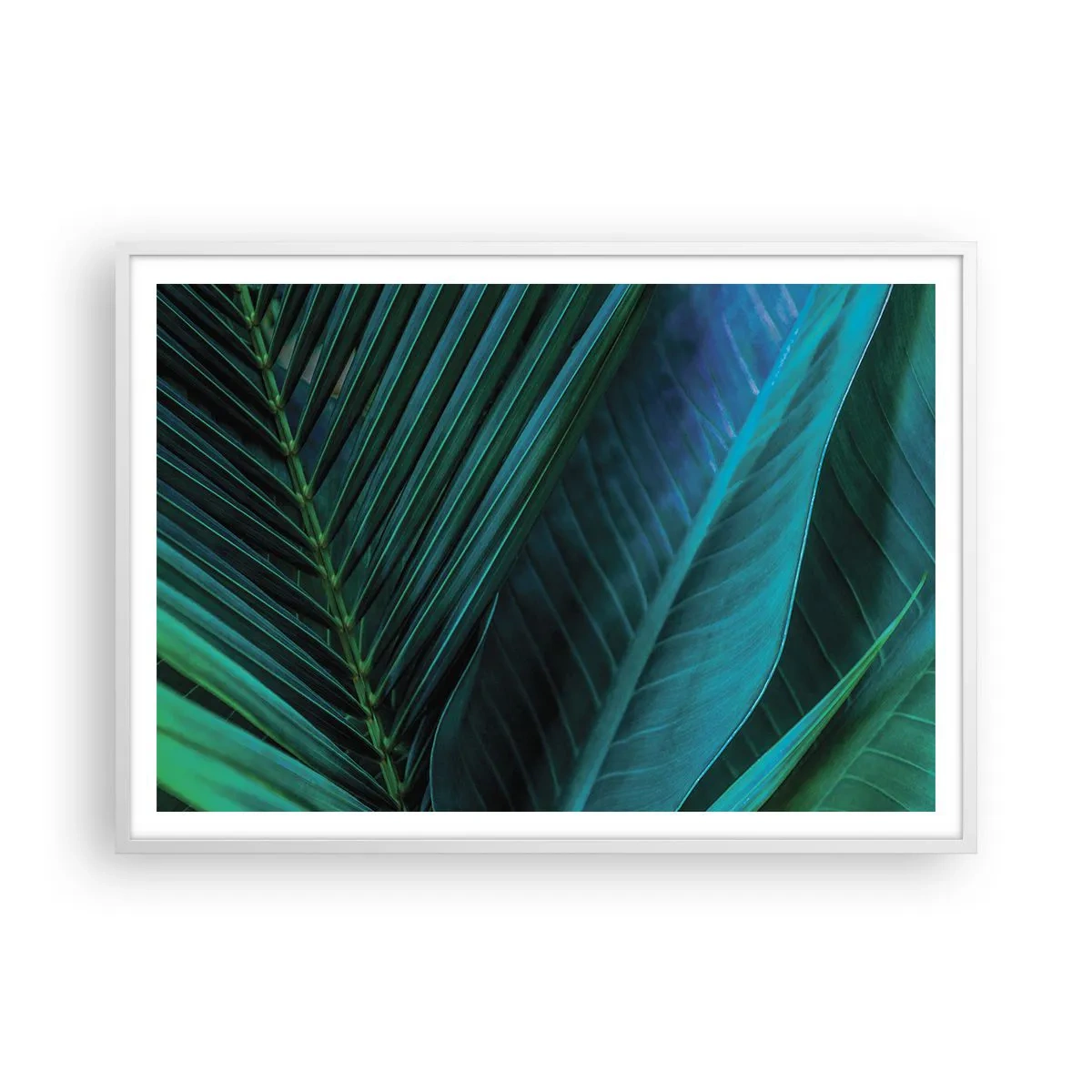 Plakát v bílém rámu - Anatomie zelené - 100x70 cm