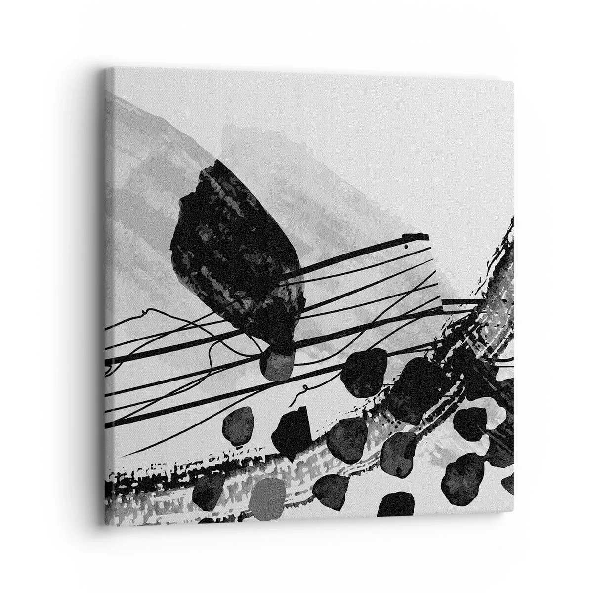 Obraz na plátně - Černobílá organická abstrakce - 30x30 cm