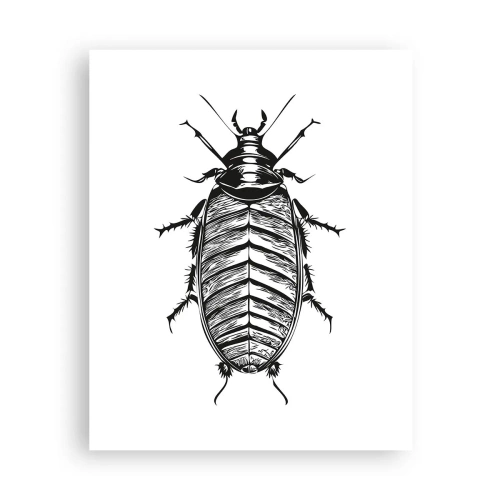 Plakát - Vzorový exemplář! - 40x50 cm