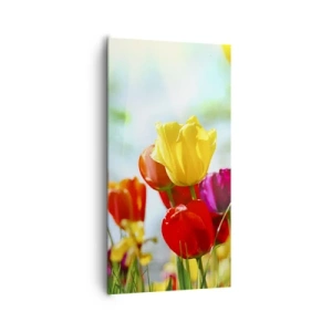 Obraz na plátně - Všechny barvy slunce - 65x120 cm