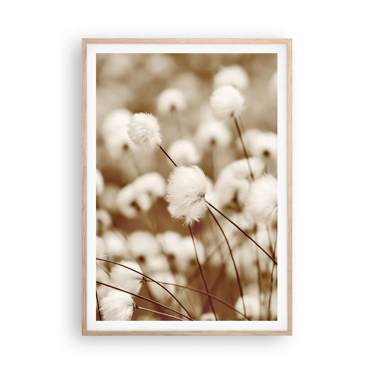 Plakát v rámu světlý dub - Chlupatý lán - 70x100 cm