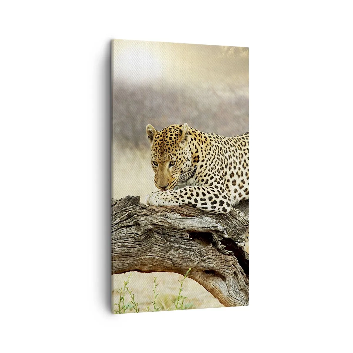 Obraz na plátně - Chodím vlastními cestami - 45x80 cm