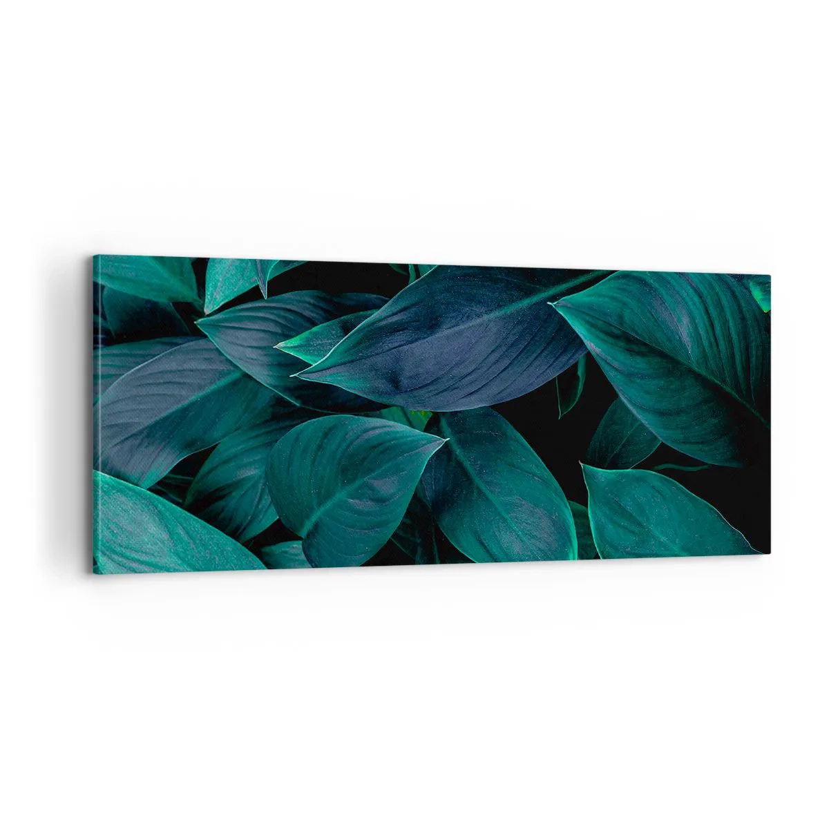 Obraz na plátně - Zeleň sama o sobě - 100x40 cm