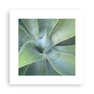 Plakát - Zrození zeleně - 30x30 cm