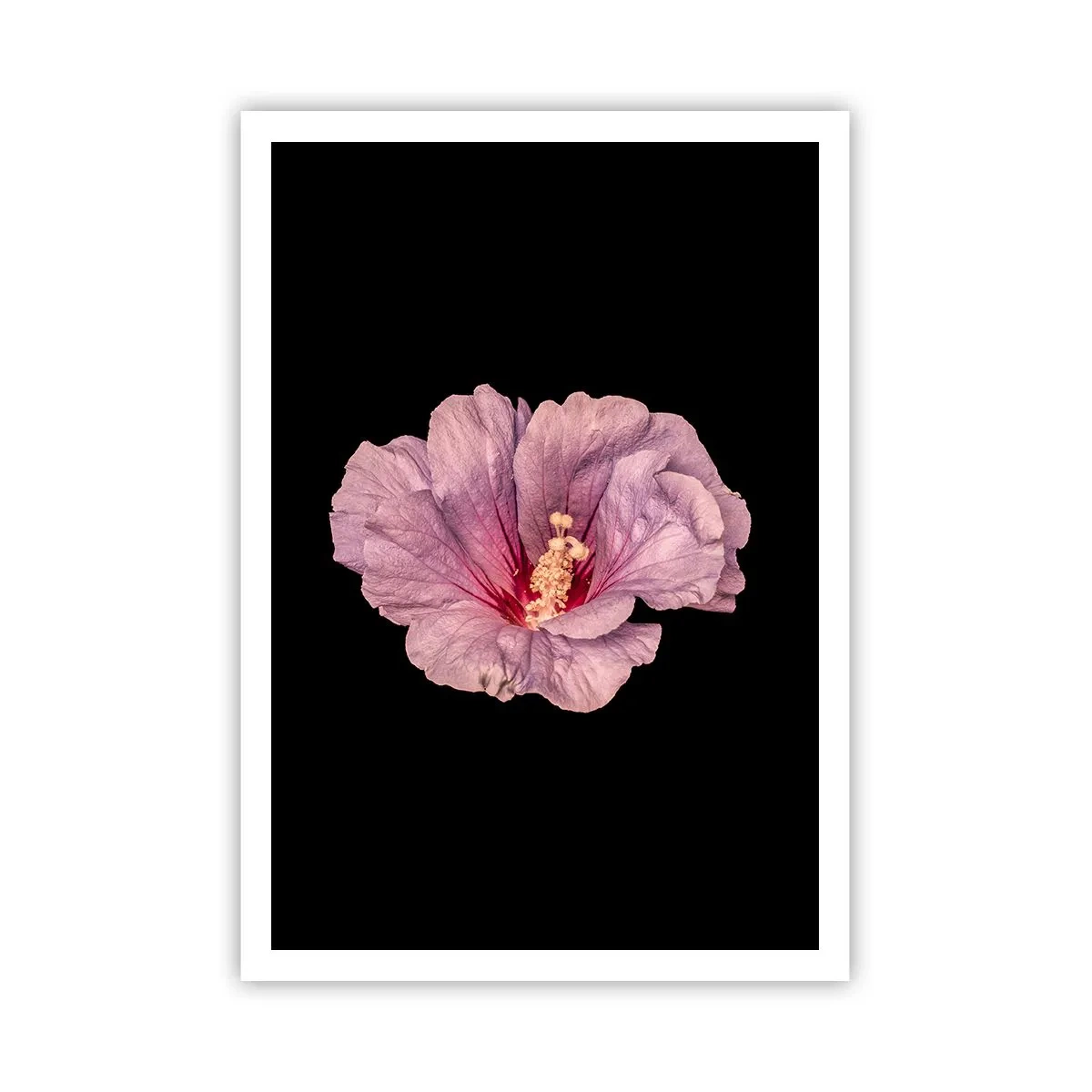 Plakát - Přímo do srdce - 70x100 cm