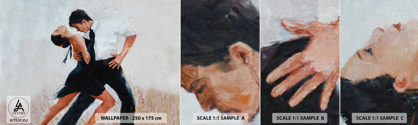 Vzor Fototapety Premium Canvas - Tango mých tužeb a snů - Abstrakce, Tanec, Tango - 100x30 cm