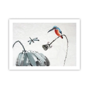 Plakát - Život louky - 70x50 cm