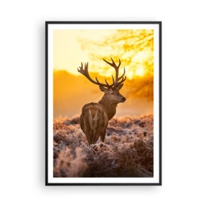 Plakát v černém rámu - Král podzimního lesa - 70x100 cm