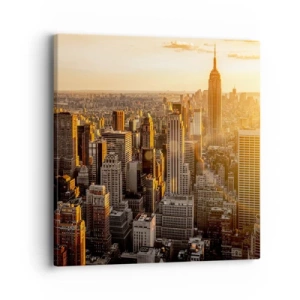 Obraz na plátně - Růst na slunci - 40x40 cm