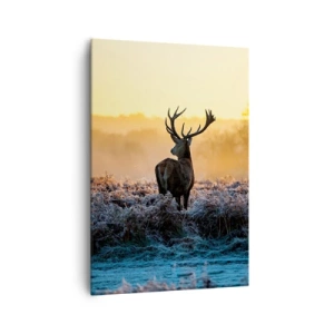 Obraz na plátně - Korunován na svém panství - 70x100 cm