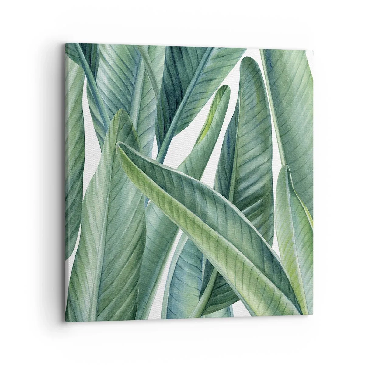 Obraz na plátně - Prostě zelená - 70x70 cm