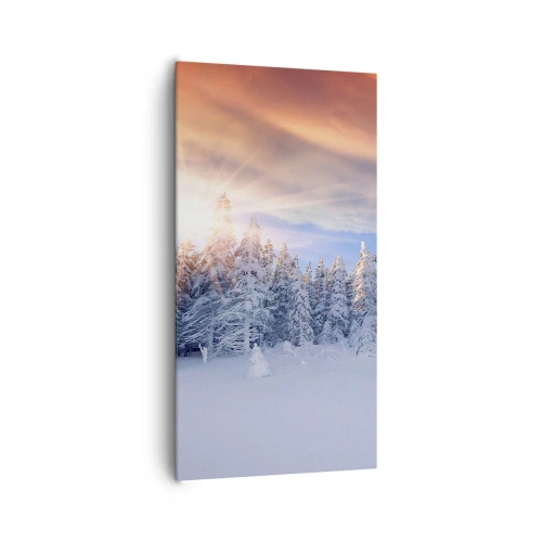Obraz na plátně - Sněžné představení přírody - 65x120 cm