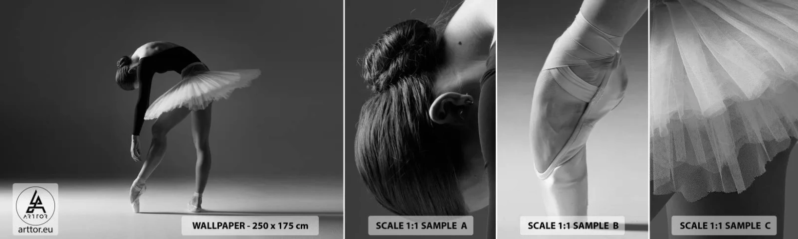 Fototapeta Vzorek Standard Eco - Bella ballerina - Balerína, Balet, Tanec - 100x30 cm