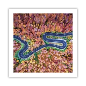 Plakát - Klikatá cesta lesem - 50x50 cm