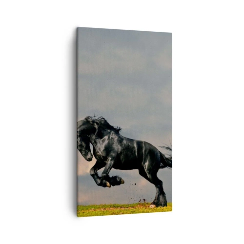 Obraz na plátně - Krásný a svobodný - 45x80 cm