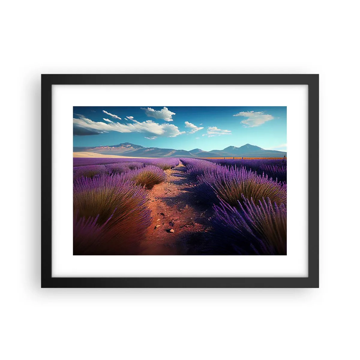 Plakát v černém rámu - Voňavá pole - 40x30 cm