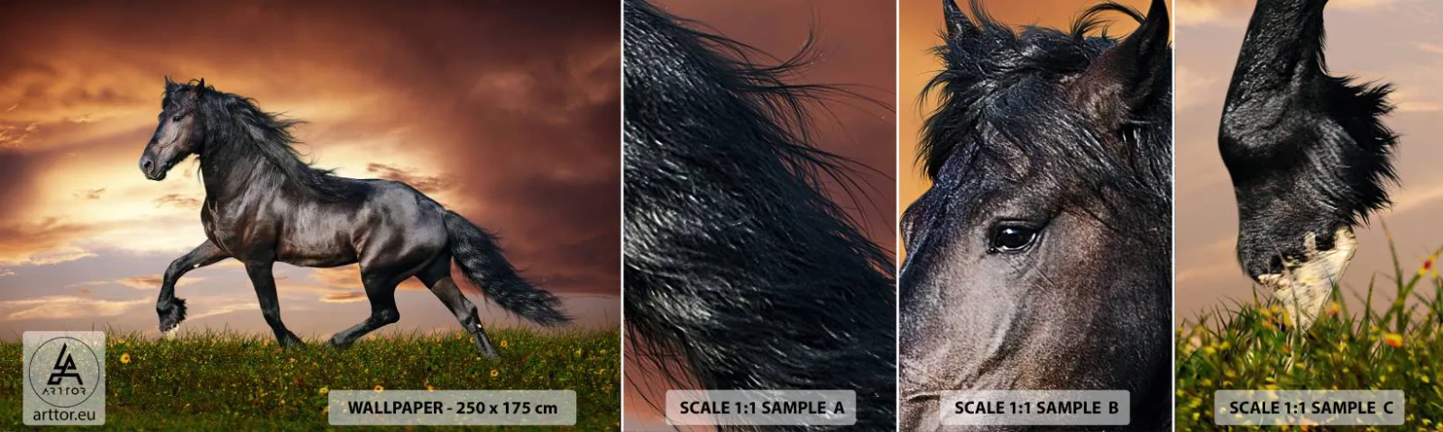 Fototapeta Vzorek Standard Eco - Černý kníže - Zvířata, Arabský kůň, Krajina - 100x30 cm
