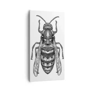 Obraz na plátně - Z hmyzí planety - 55x100 cm