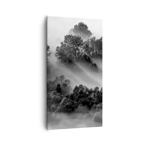 Obraz na plátně - Probouzení ze spánku - 55x100 cm