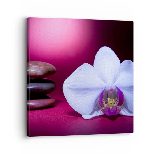 Obraz na plátně - Studie svěžesti ve fialové - 30x30 cm