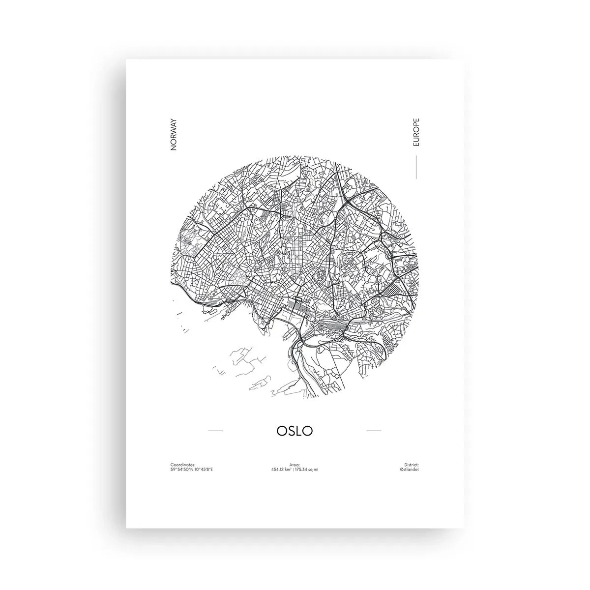 Plakát - Anatomie Osla - 50x70 cm