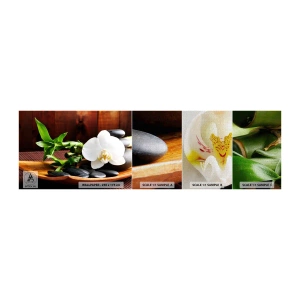 Vzor Fototapety Premium Canvas - Oddejte se doteku přírody - Květiny, Orchidej, Orchidej - 100x30 cm