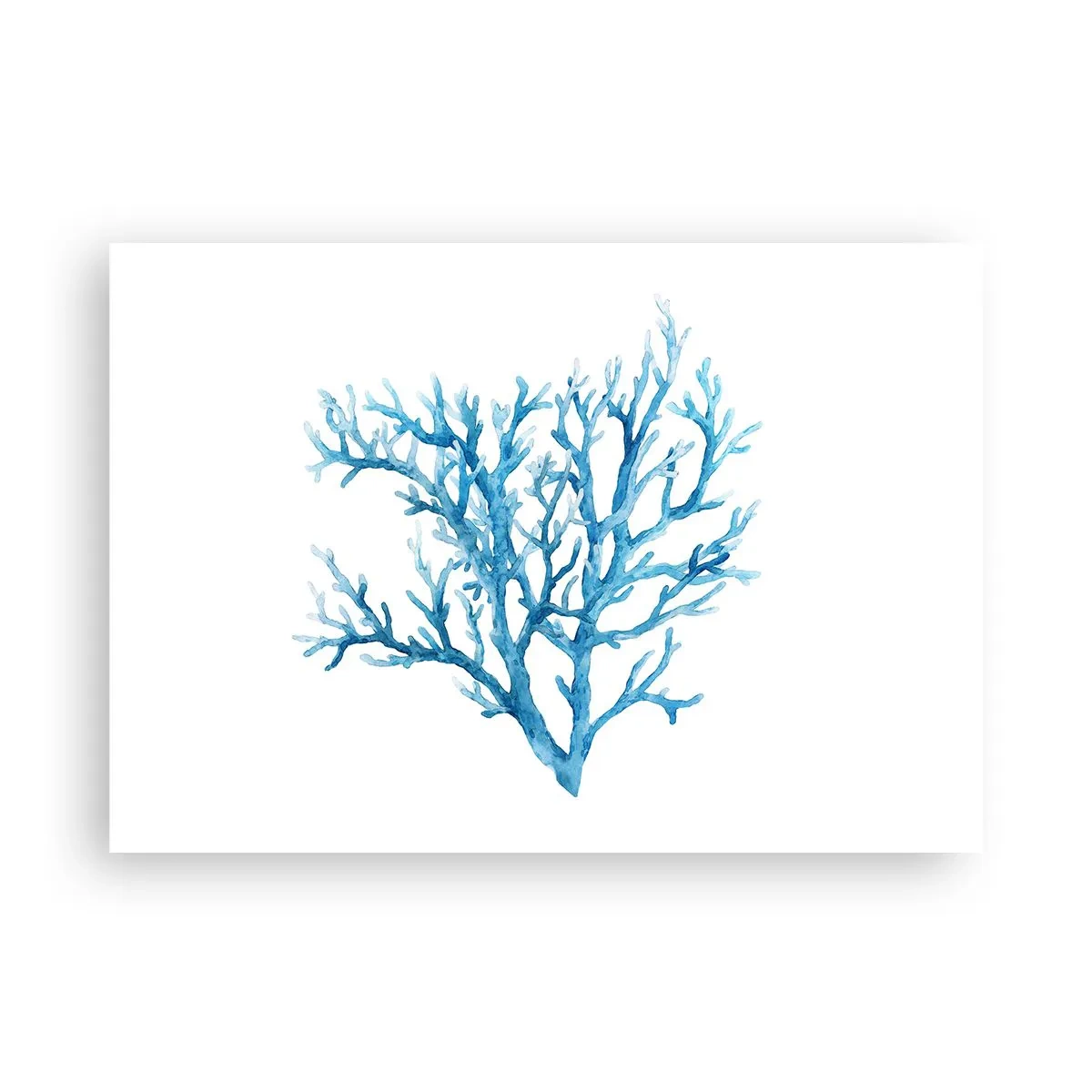 Plakát - Mořský filigrán - 100x70 cm