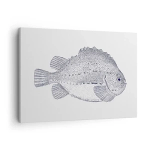 Obraz na plátně - Černobílá kresba ryby na bílém pozadí v minimalistickém stylu - 70x50cm - Do alba přírodovědce - Moderní nástěnná dekorace do obývacího pokoje a ložnice ARTTOR