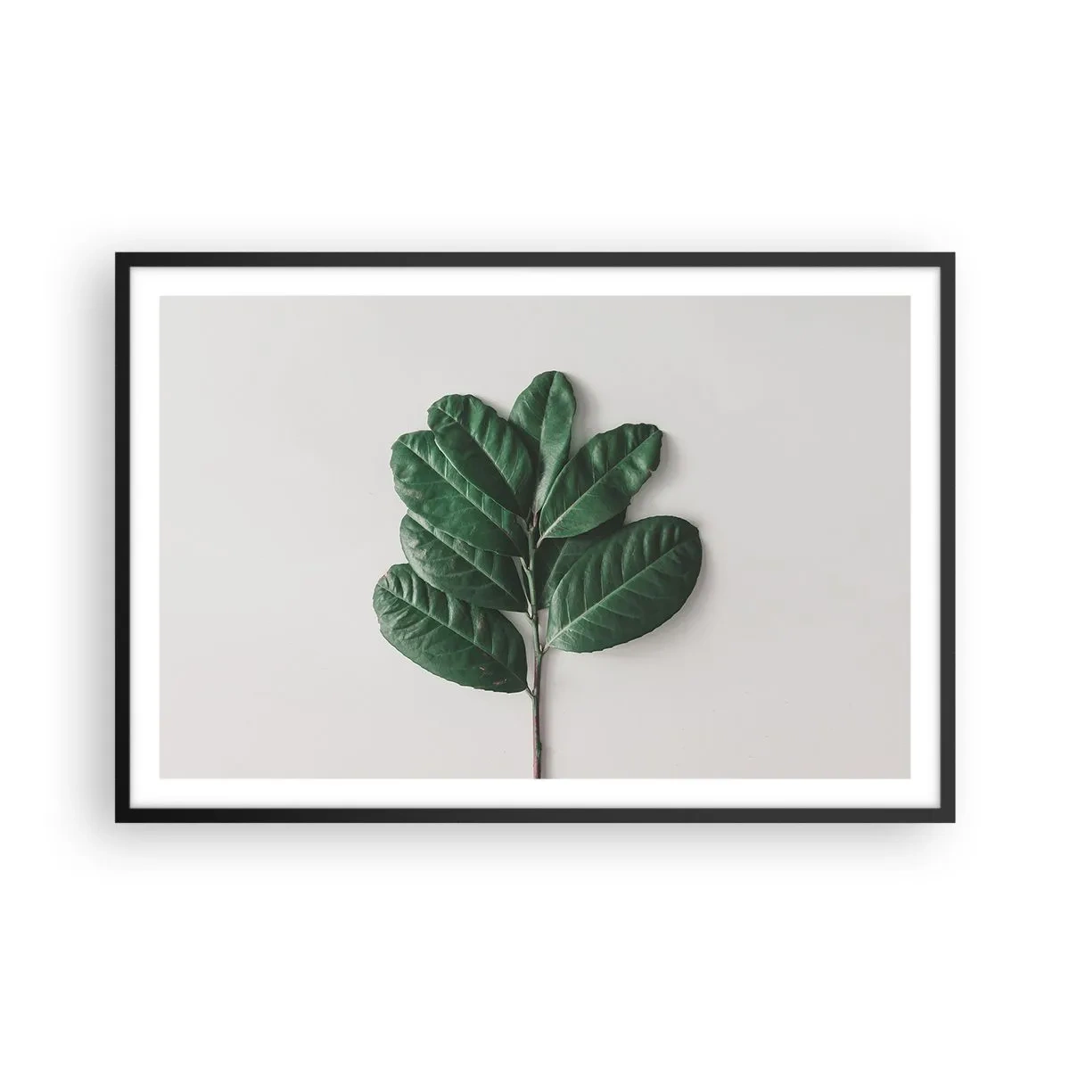 Plakát v černém rámu - Kresba samotné přírody - 91x61 cm