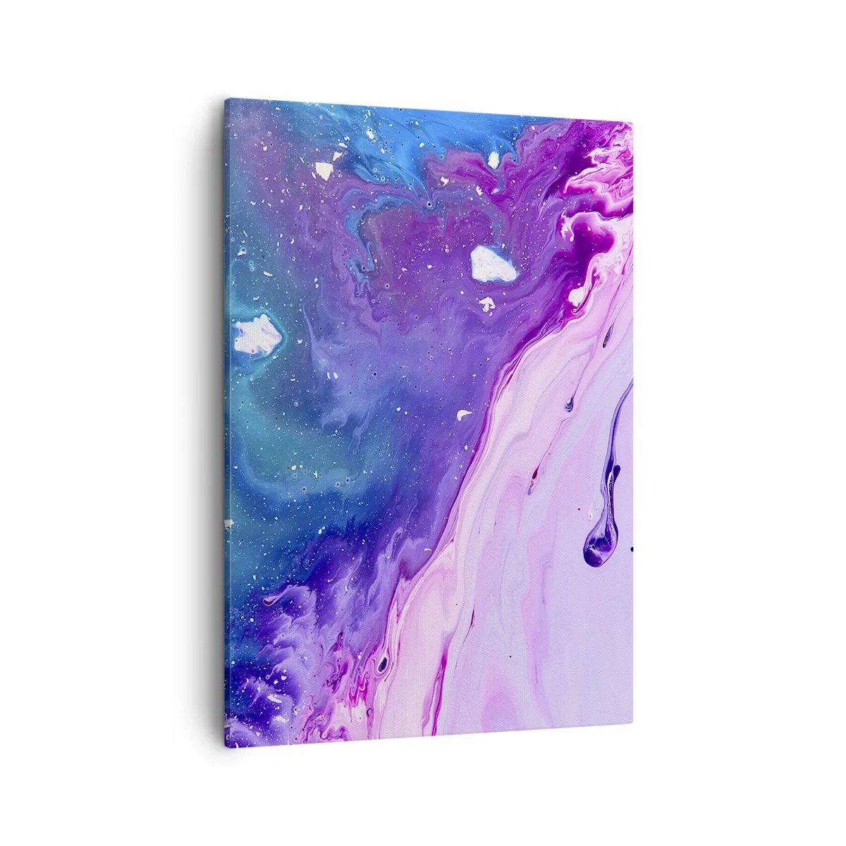 Obraz na plátně - Yin a yang - 50x70 cm