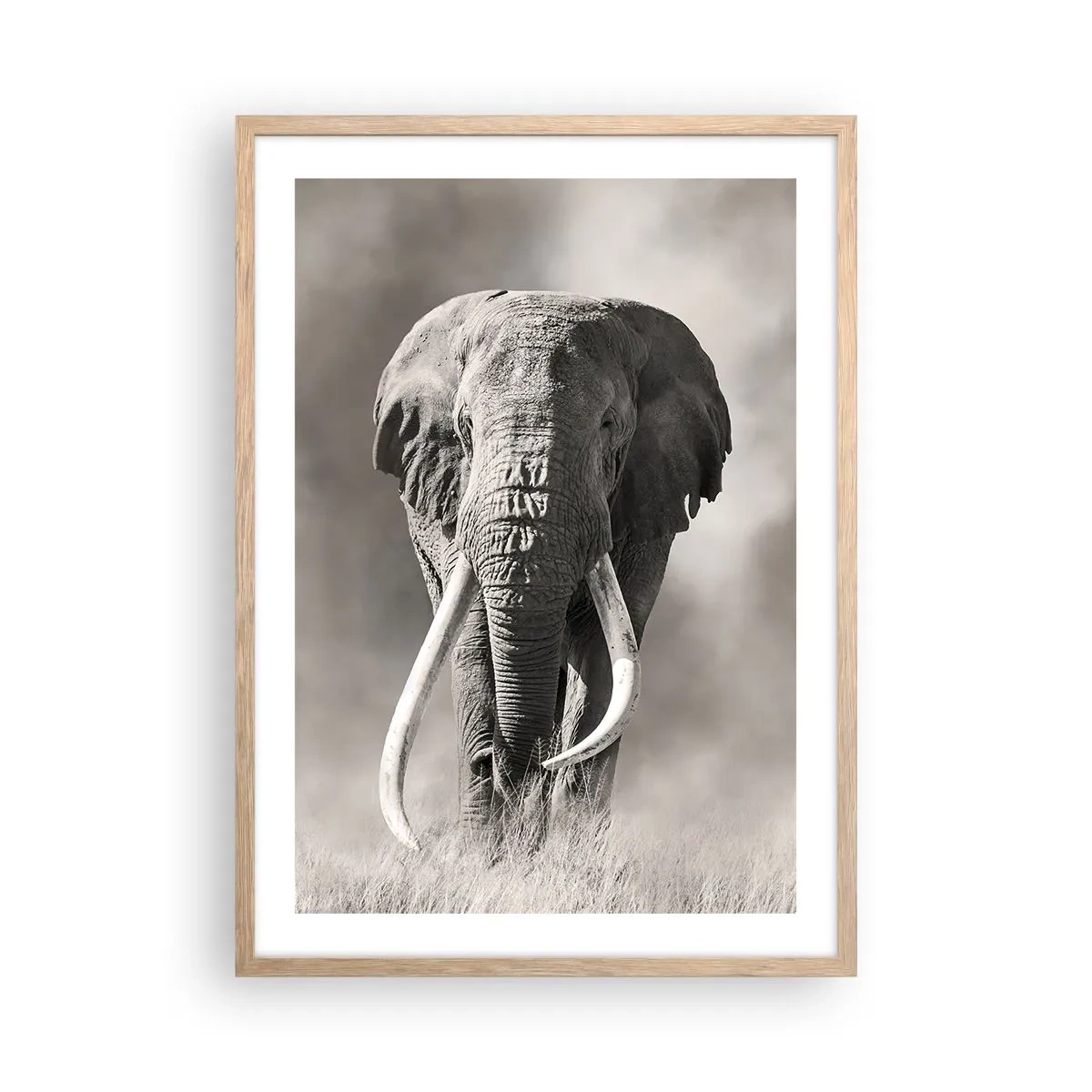 Plakát v rámu světlý dub - Africký patriarcha - 50x70 cm