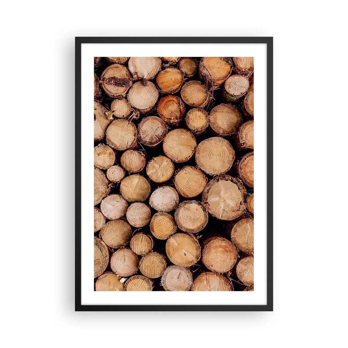 Plakát v černém rámu - Přírodní řezané kmeny stromů v uměleckém aranžmá - 50x70cm - Nový začátek - Moderní nástěnná dekorace do obývacího pokoje a ložnice ARTTOR