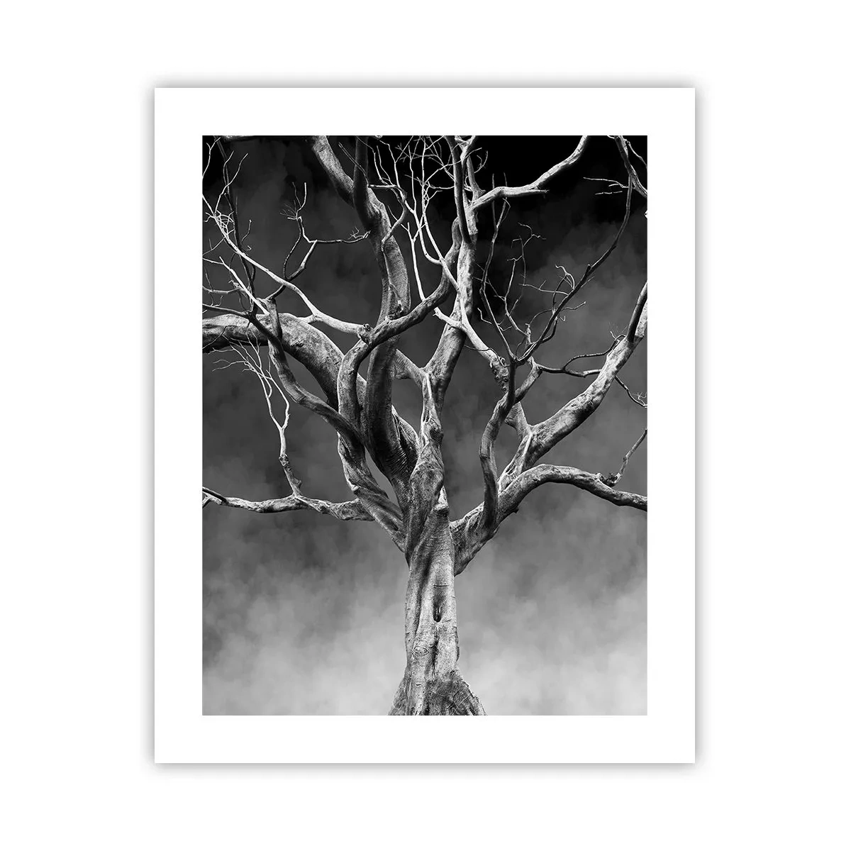 Plakát - Původní a svaté - 40x50 cm
