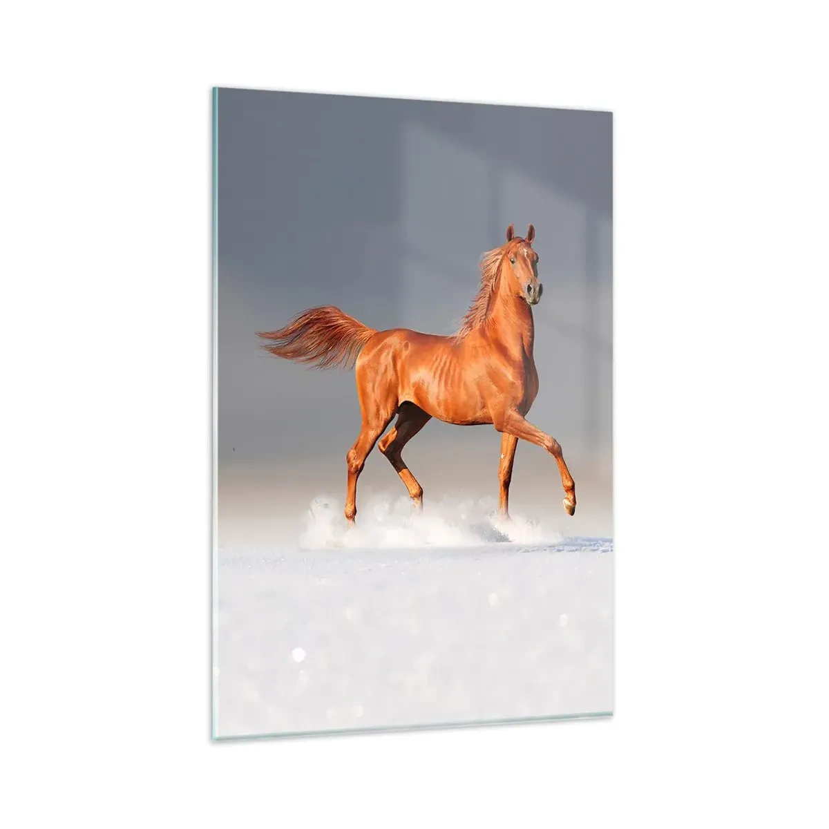 Obraz na skle - Tančící elegance - 80x120 cm