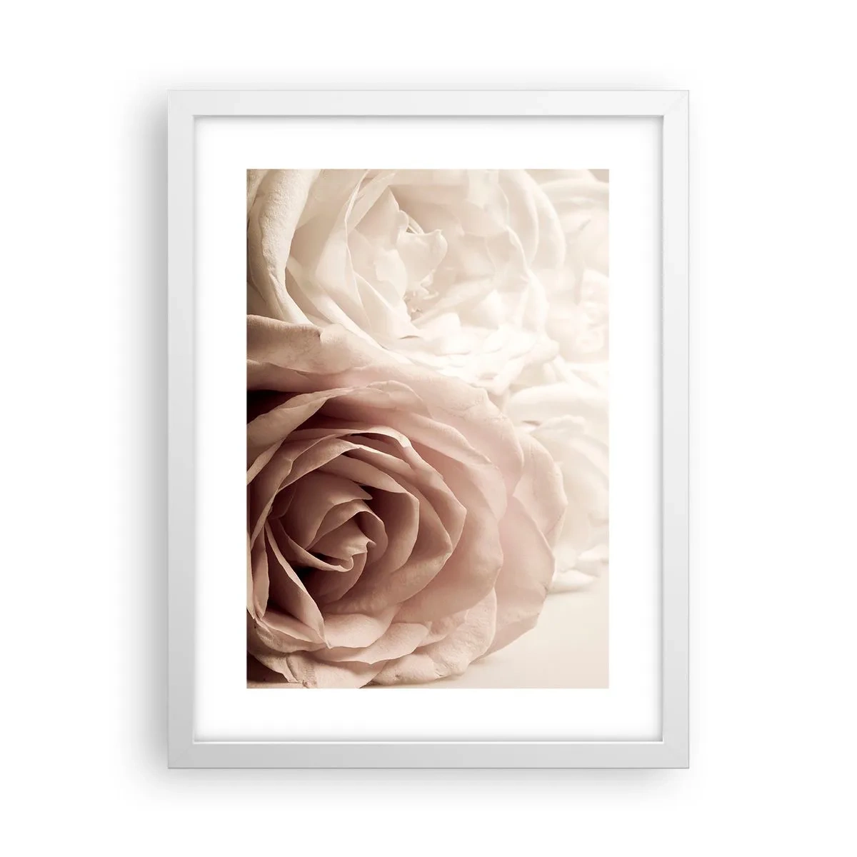 Plakát v bílém rámu - V srdci růže - 30x40 cm