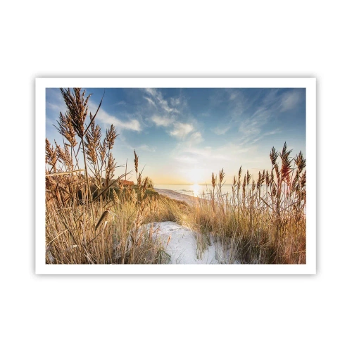 Plakát - Severní pláž - 100x70 cm