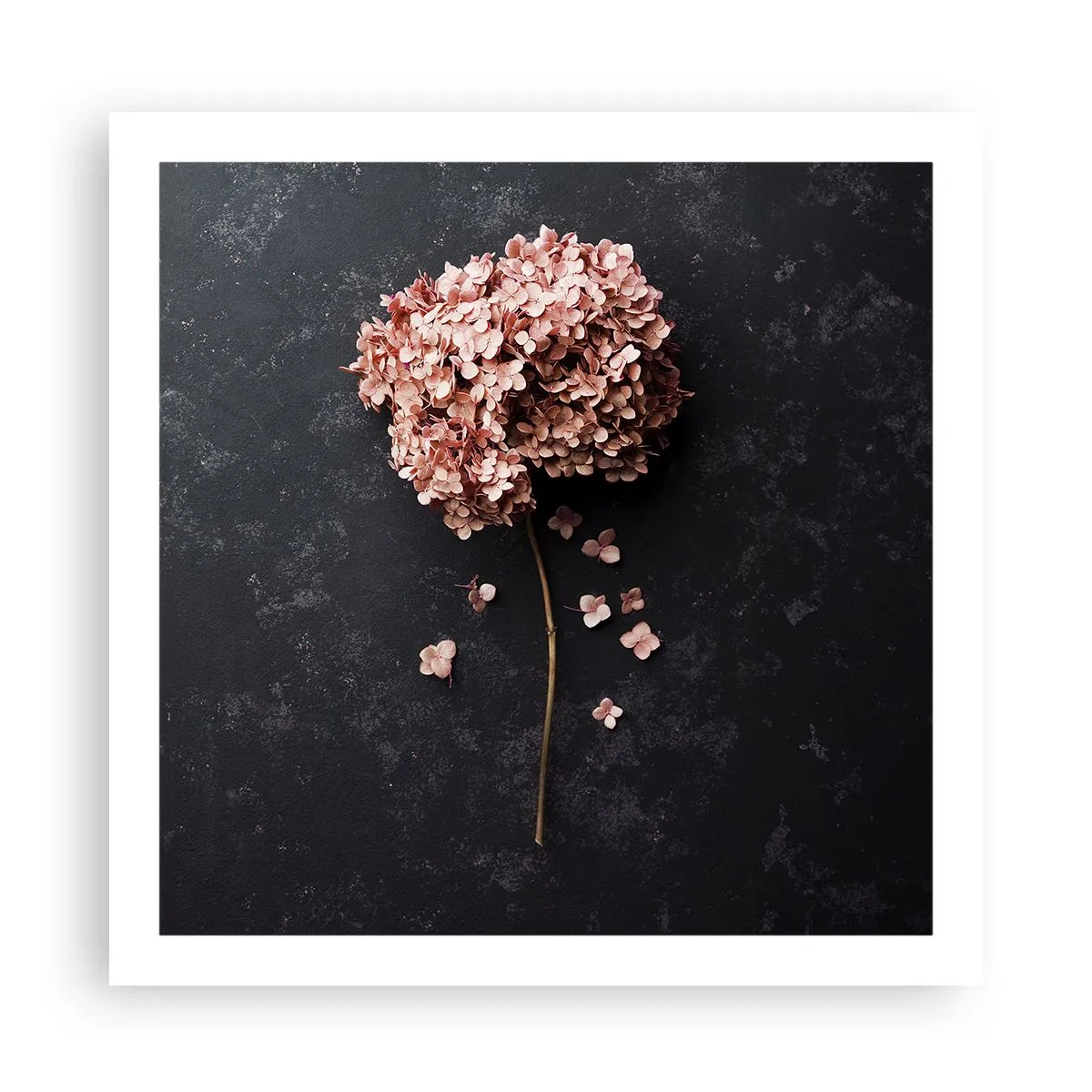 Plakát - Skutečně romantické znamení - 60x60 cm