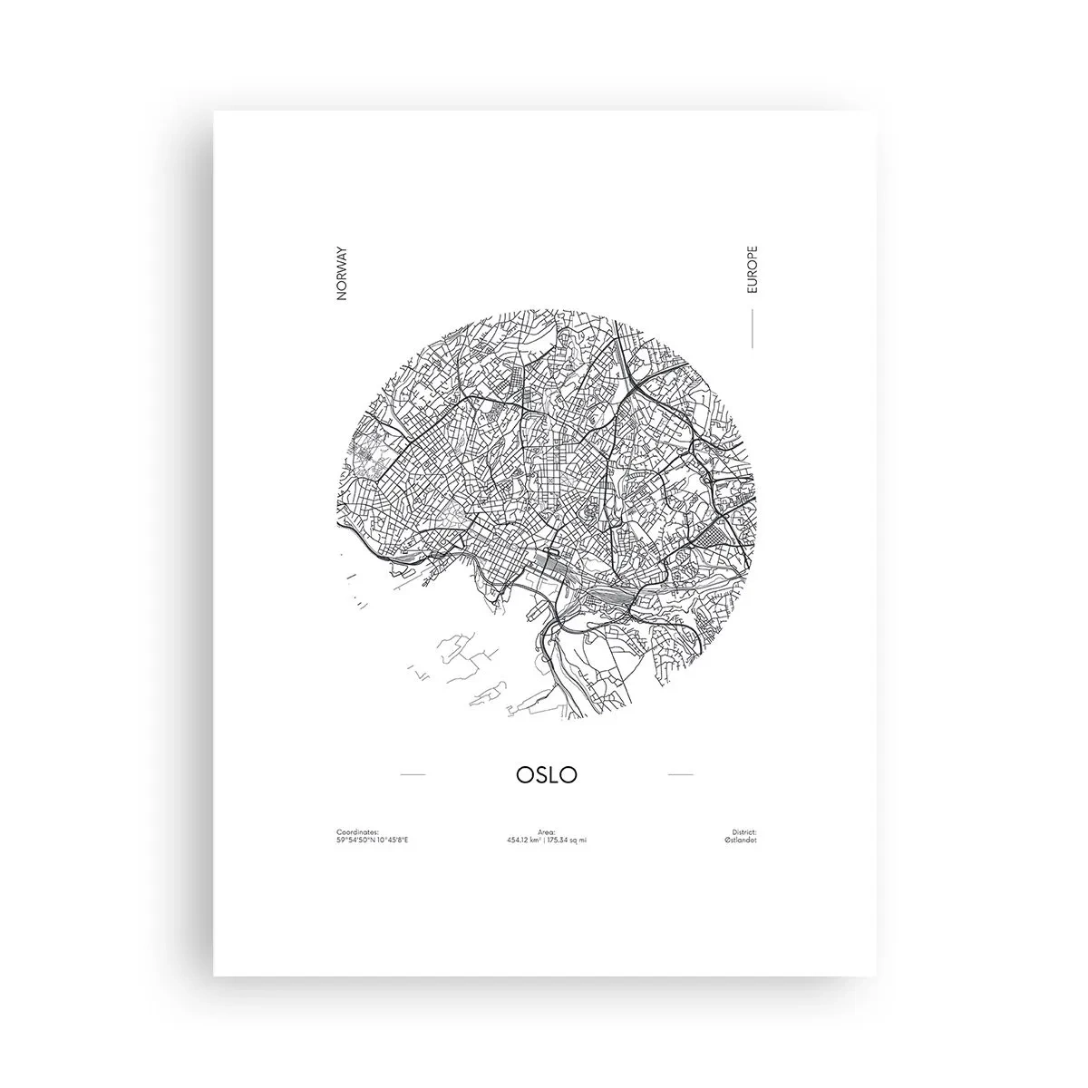 Plakát - Anatomie Osla - 30x40 cm