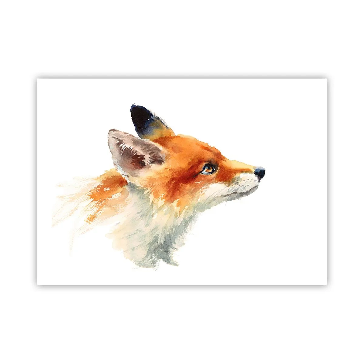 Plakát - Opatrnosti není nikdy dost - 70x50 cm