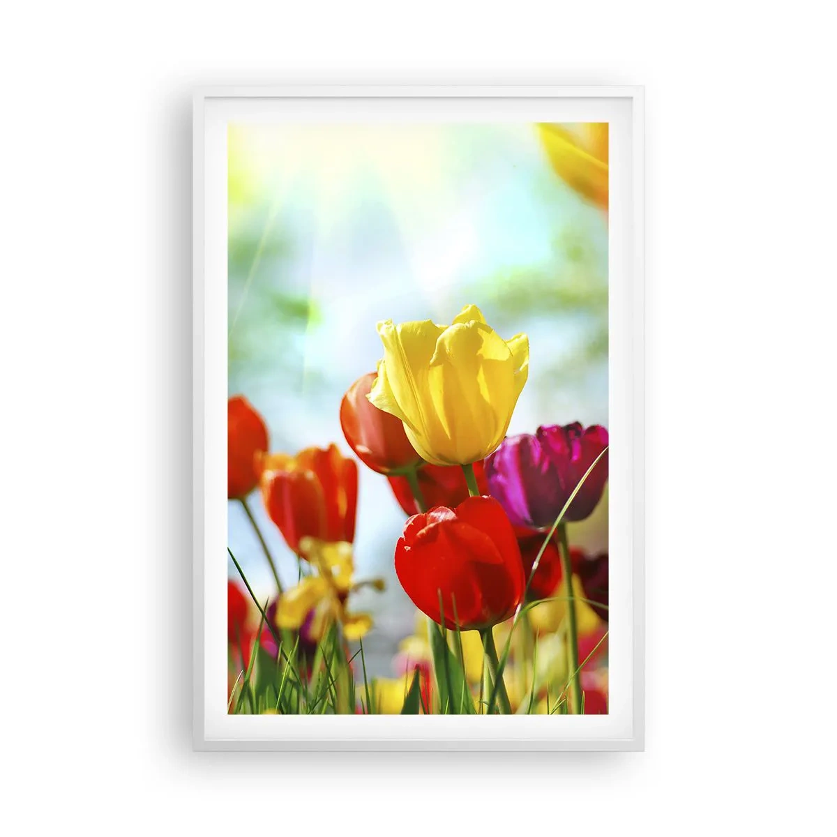 Plakát v bílém rámu - Všechny barvy slunce - 61x91 cm