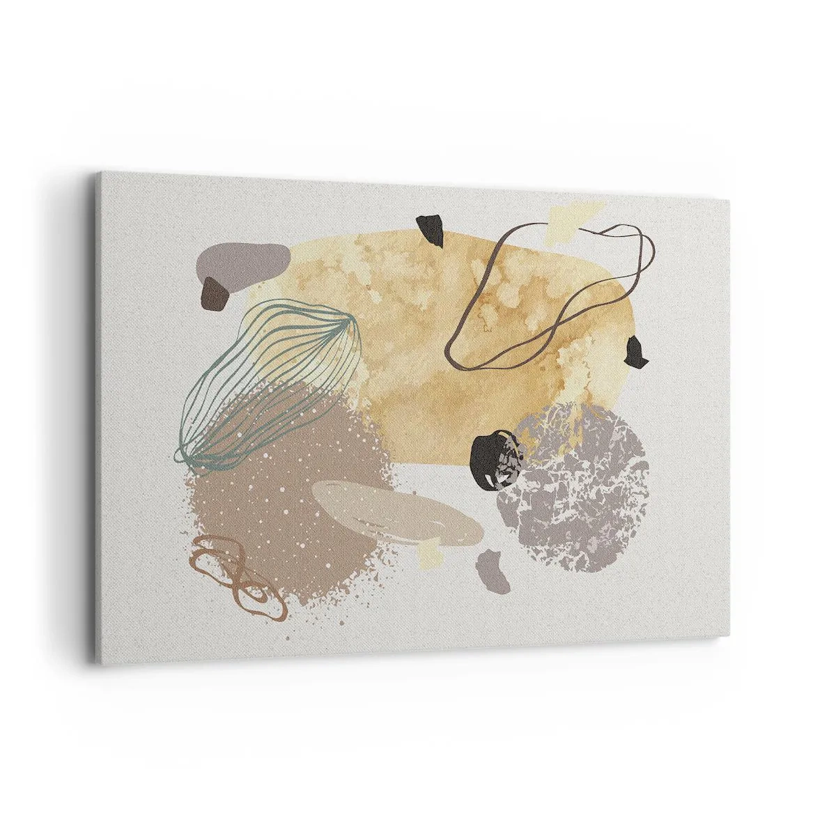 Obraz na plátně - Abstraktní švestka - 120x80 cm