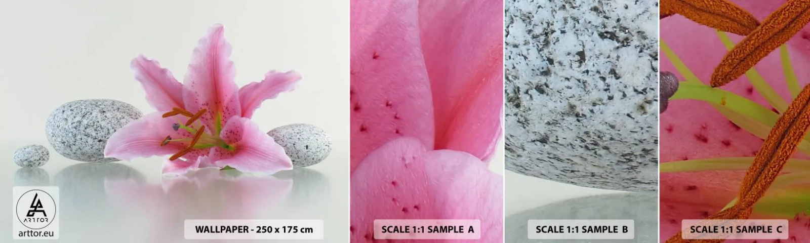 Fototapeta Vzorek Standard Eco - Studie v růžové, šedé a bílé - Květiny, Lilie, Kameny - 100x30 cm