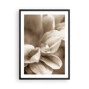 Plakát v černém rámu - Detail jemných okvětních lístků v sépiovém odstínu - 50x70cm - Něžné jako úsměv - Moderní nástěnná dekorace do obývacího pokoje a ložnice ARTTOR