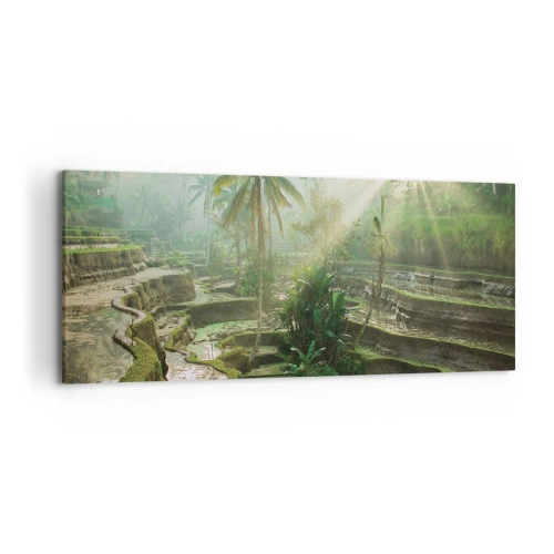 Obraz na plátně - Vyrůstát na slunci - 120x50 cm