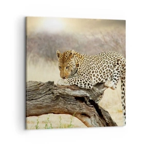 Obraz na plátně - Chodím vlastními cestami - 60x60 cm