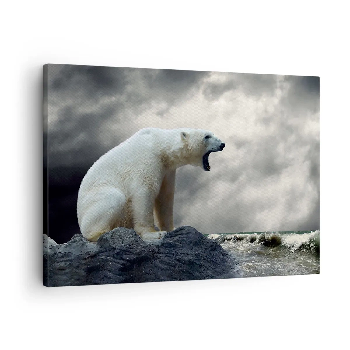 Obraz na plátně - Lední medvěd na skalách nad rozbouřeným mořem - 70x50cm - Samotný král Arktidy - Moderní nástěnná dekorace do obývacího pokoje a ložnice ARTTOR